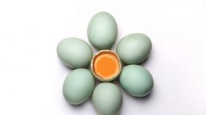 12 Manfaat Telur Bebek Yang Dapat Diketahui